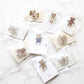 ranmyu Acrylic Clips - Bear Collection I