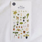 Suatelier Sticker Sheet No.1207, little plant shop