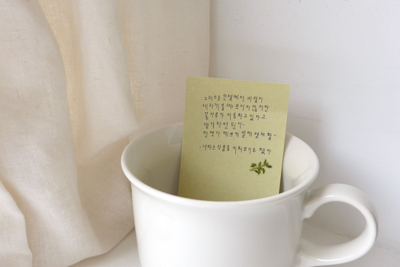 Suatelier Sticker Sheet No.1207, little plant shop