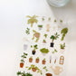 Suatelier Sticker Sheet No.1207, little plant shop