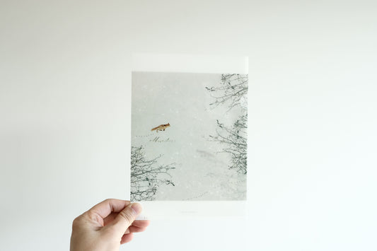 YOHAKU A5 Clear Folder - Snow Play (M-205)