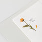 Appree Pressed Flower Sticker Sheet - Calendula, 1 PC