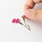 Appree Pressed Flower Sticker Sheet - China Pink, 1 PC