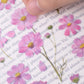Appree Pressed Flower Sticker Sheet - Cosmos, 1 PC