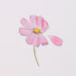Appree Pressed Flower Sticker Sheet - Cosmos, 1 PC