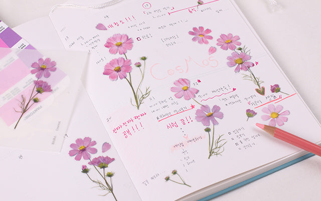 Appree Pressed Flower Stickers – Softly Studio
