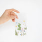 Appree Pressed Flower Sticker Sheet - Daisy, 1 PC