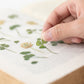 Appree Pressed Flower Sticker Sheet - Four-Leaf Clover, 1 PC