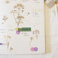 Appree Pressed Flower Sticker Sheet - Lace Flower, 1 PC