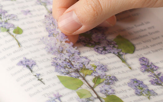 Appree Pressed Flower Sticker Sheet - Lilac, 1 PC