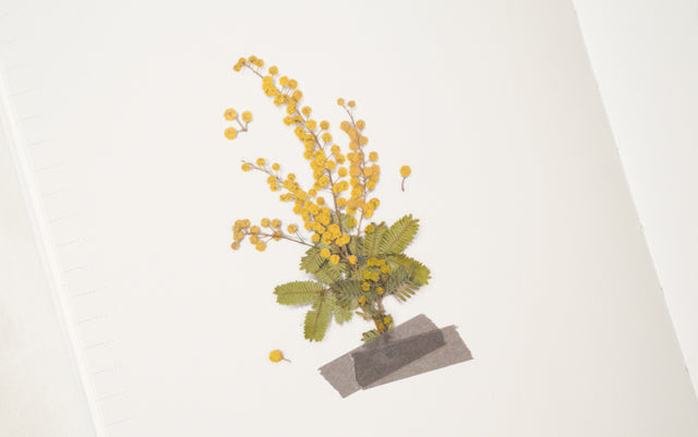 Appree Pressed Flower Sticker Sheet - Mimosa, 1 PC