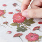 Appree Pressed Flower Sticker Sheet - Mini Rose, 1 PC