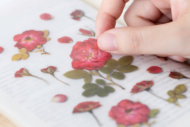 Appree Pressed Flower Sticker Mini Rose