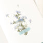 Appree Pressed Flower Sticker Sheet - Moss Phlox, 1 PC