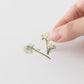 Appree Pressed Flower Sticker Sheet - Sweet Alyssum, 1 PC