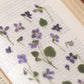 Appree Pressed Flower Sticker Sheet - Violet, 1 PC