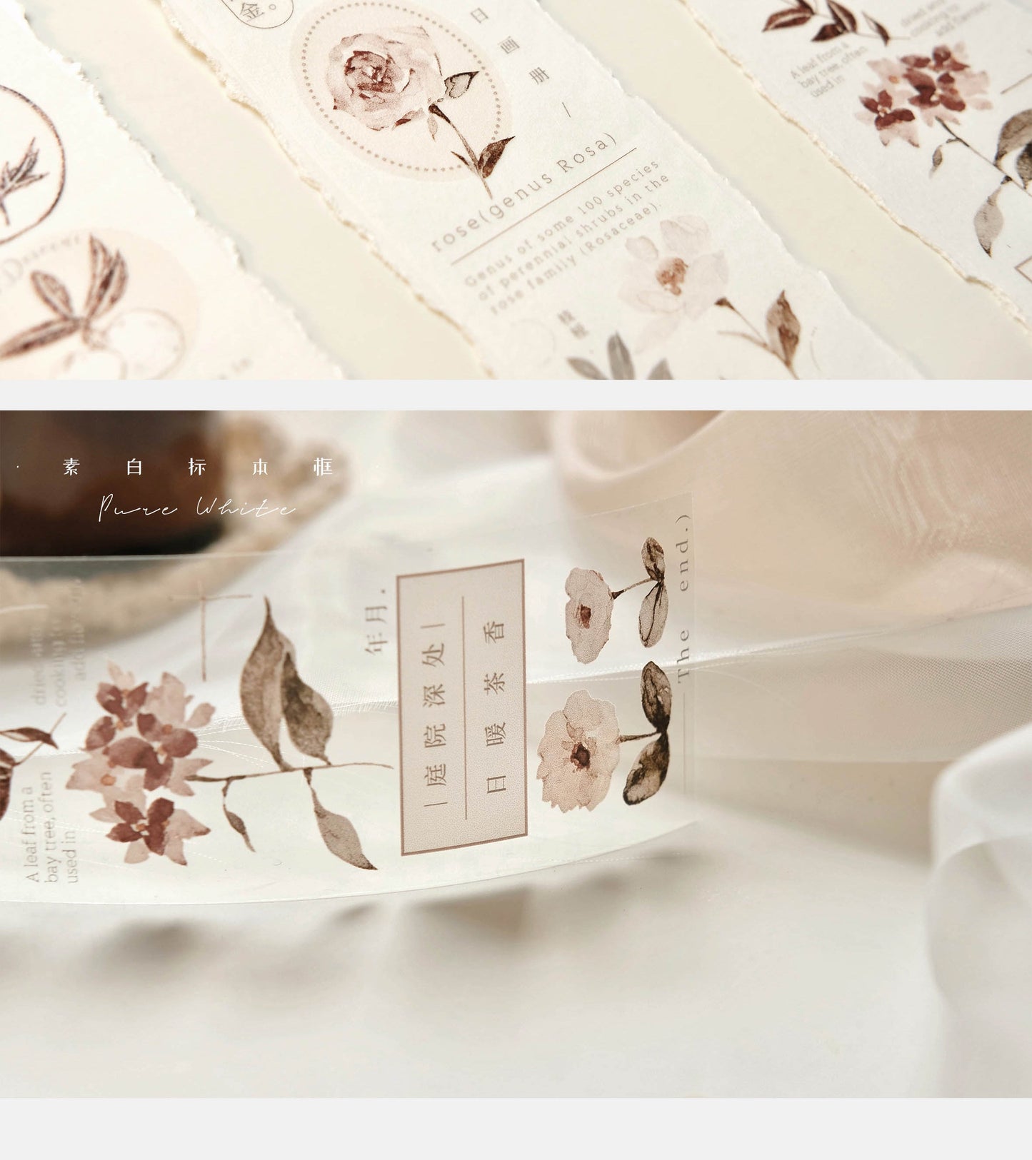 One Loop Sample - Freckles Tea Vo.3 Autumn Leaves Washi/PET Tape