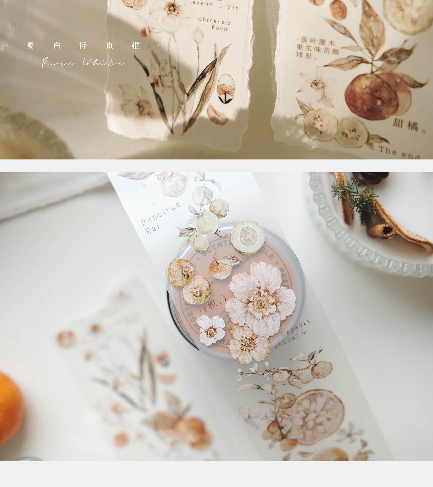 Freckles Tea Vo.3 Tangerine Washi/PET Tape
