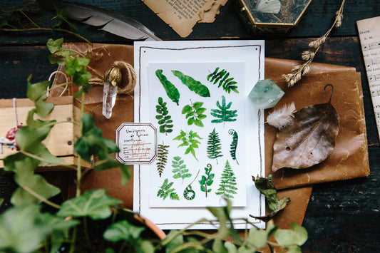 OURS Fern Print-on Sticker Set, 2 sheets