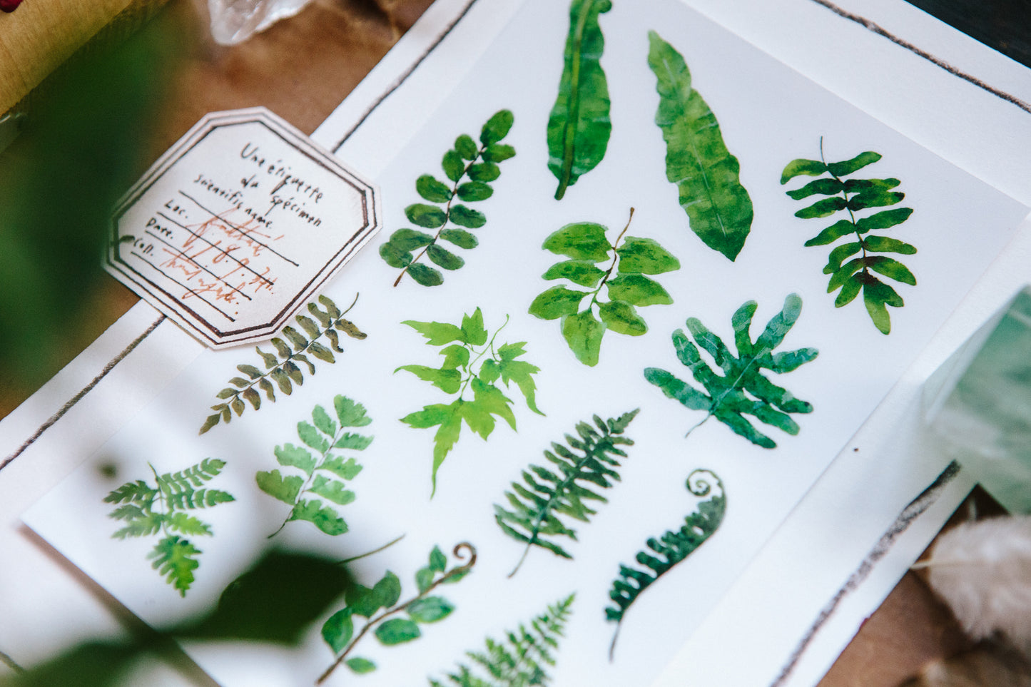 OURS Fern Print-on Sticker Set, 2 sheets