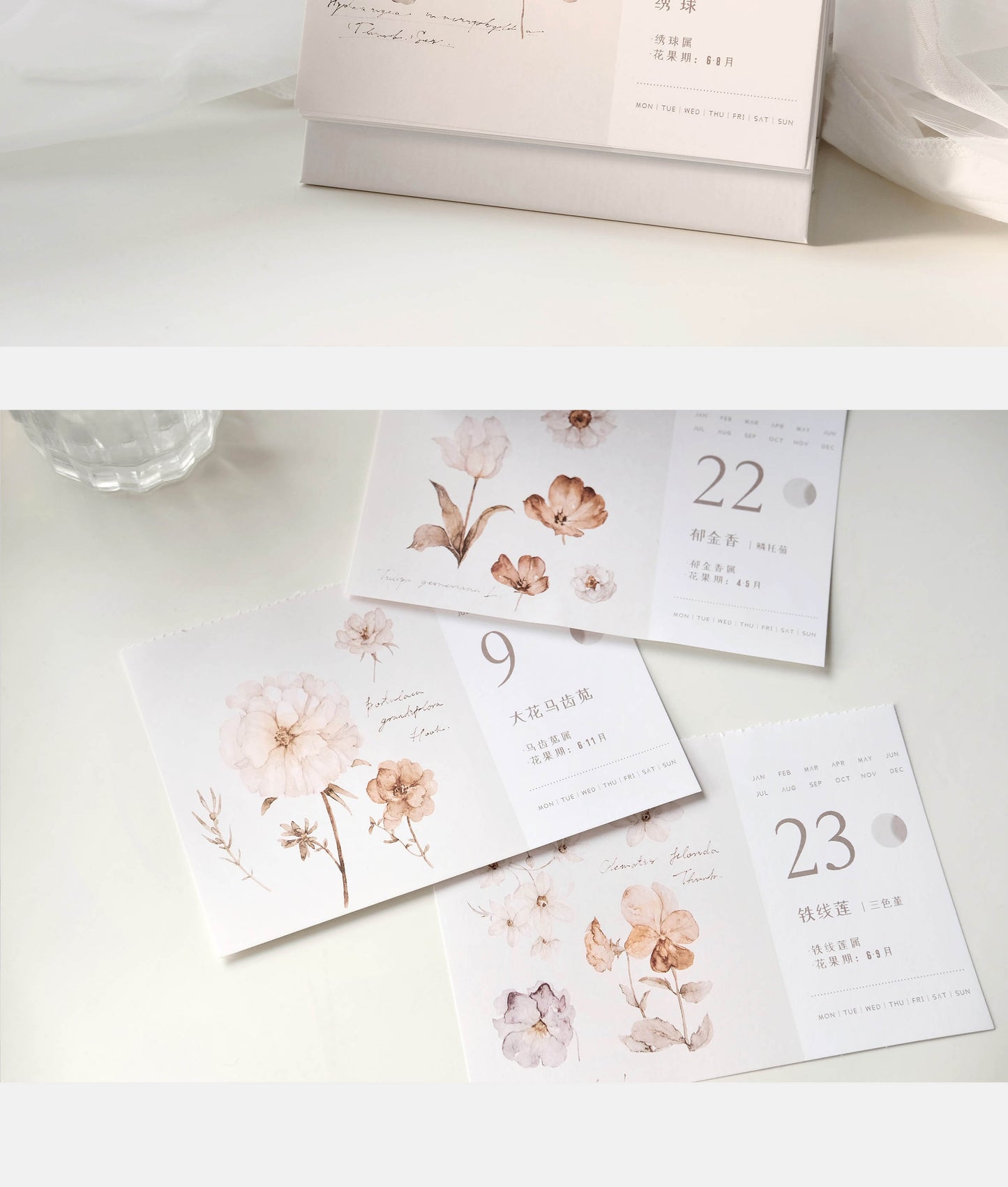 Freckles Tea Vol. 3 Pure White Botanical Calendar (Undated, 31 Perforated Sheets)