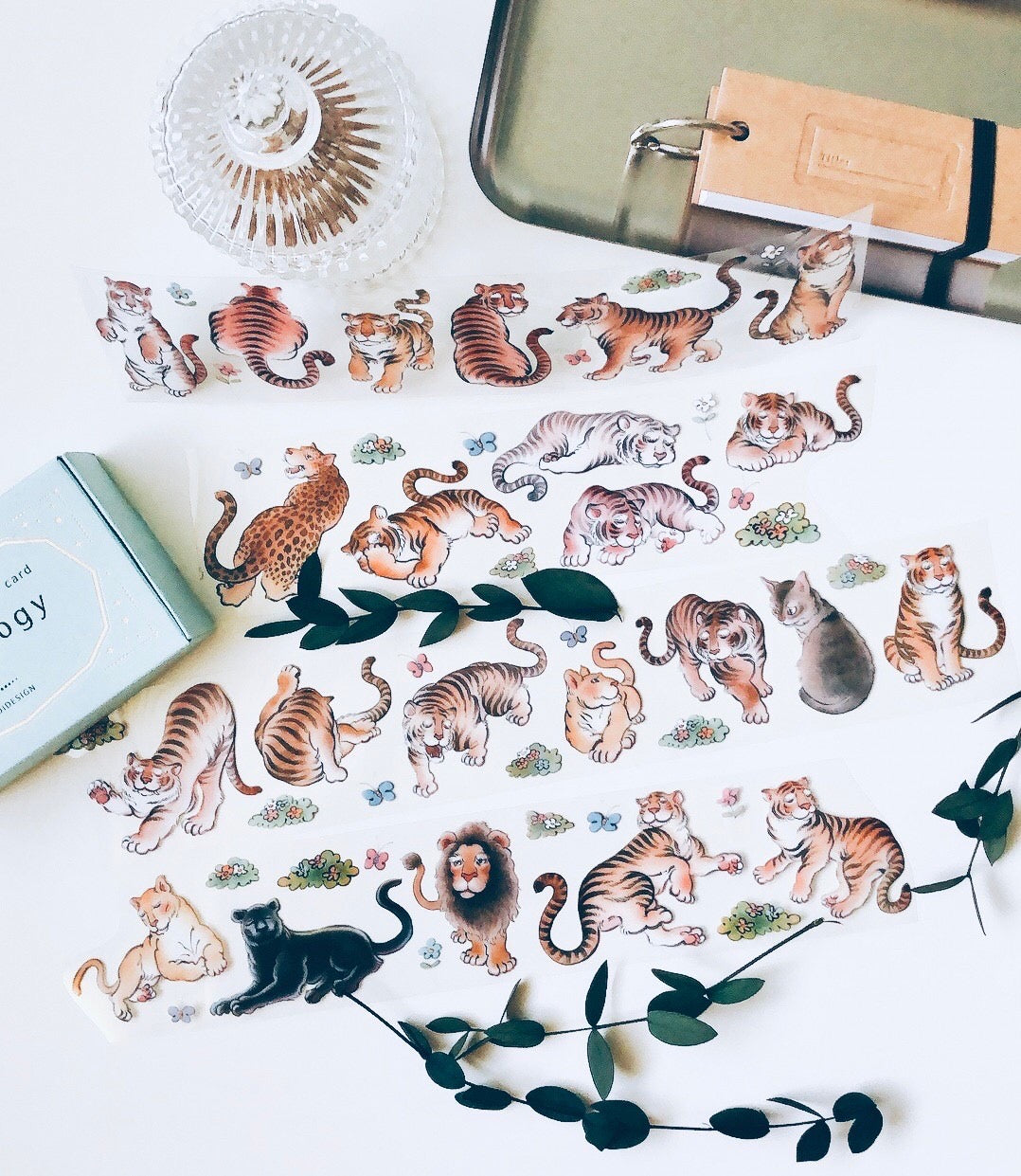 Loidesign Some Cats Glossy PET Tape, 2022 Year of Tiger Limited Edition
