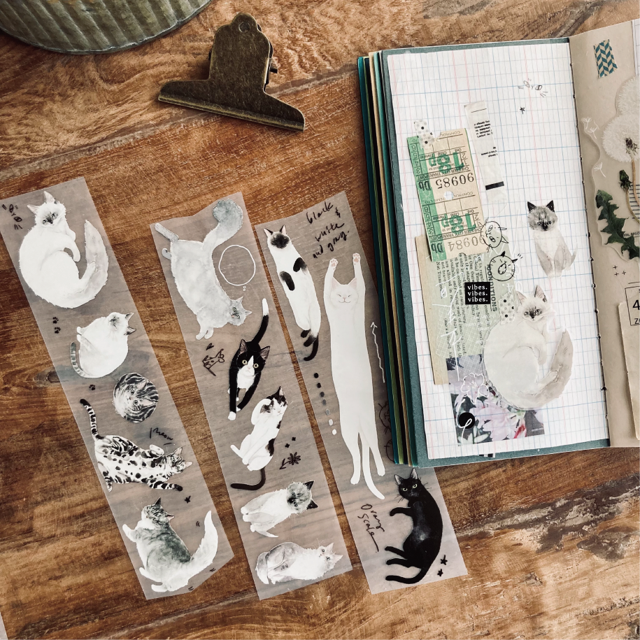 somesortof.fern Gray Scale Cat-themed Matte PET Tape, 50mm